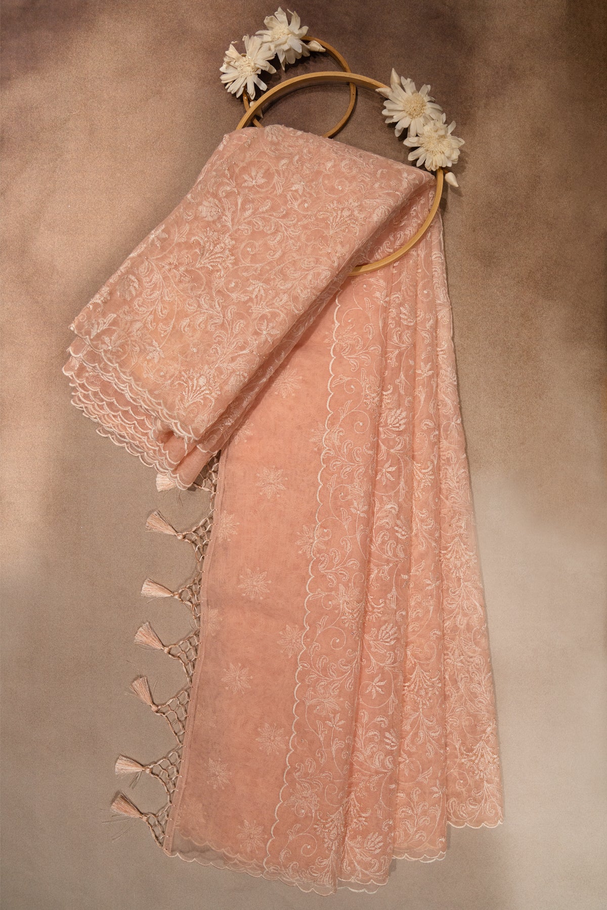 Light peach net fancy saree