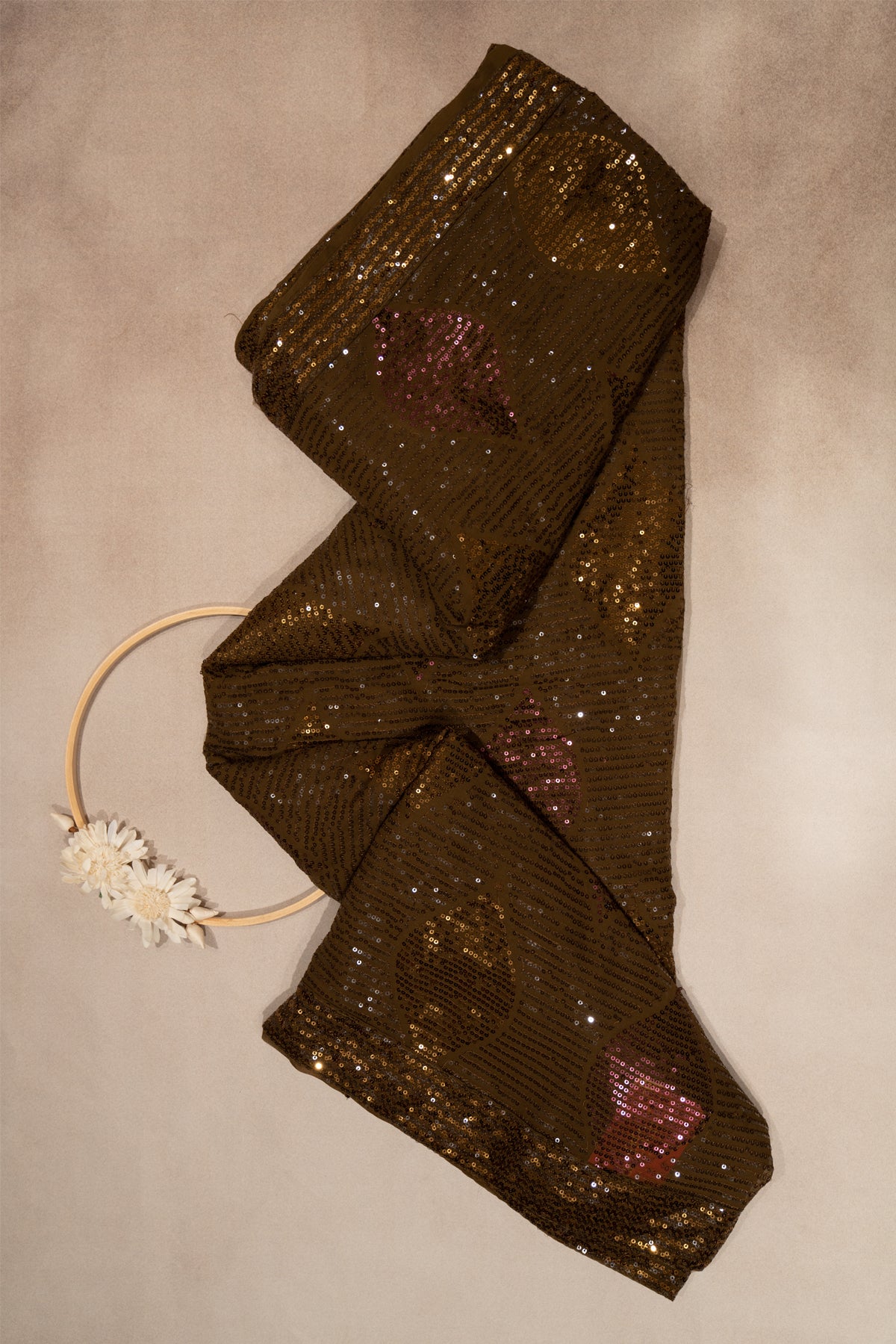 Chocolate brown georgette fancy saree